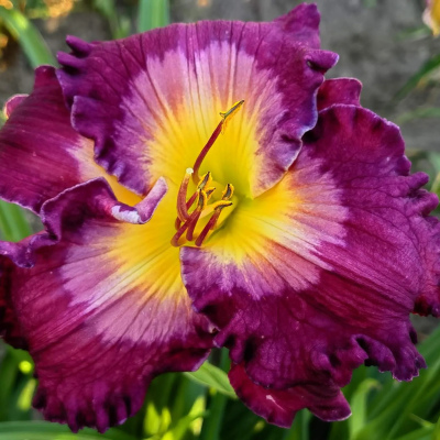 ЛИЛЕЙНИК GHOSTS AND GOBLINS